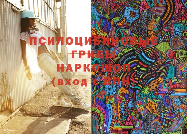 дурь Алзамай