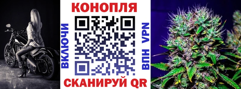 omg зеркало  Нефтекумск  Марихуана сатива 